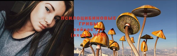 дживик Беломорск