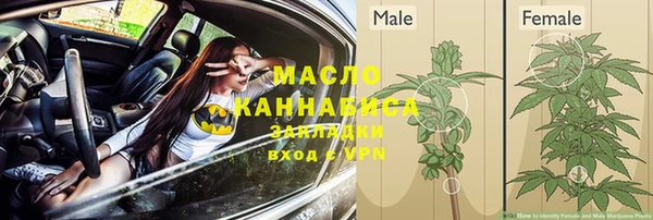 молекула духа Белоозёрский