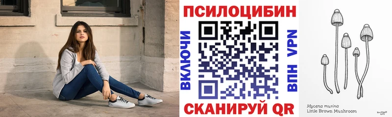 Псилоцибиновые грибы Cubensis  Кирсанов 